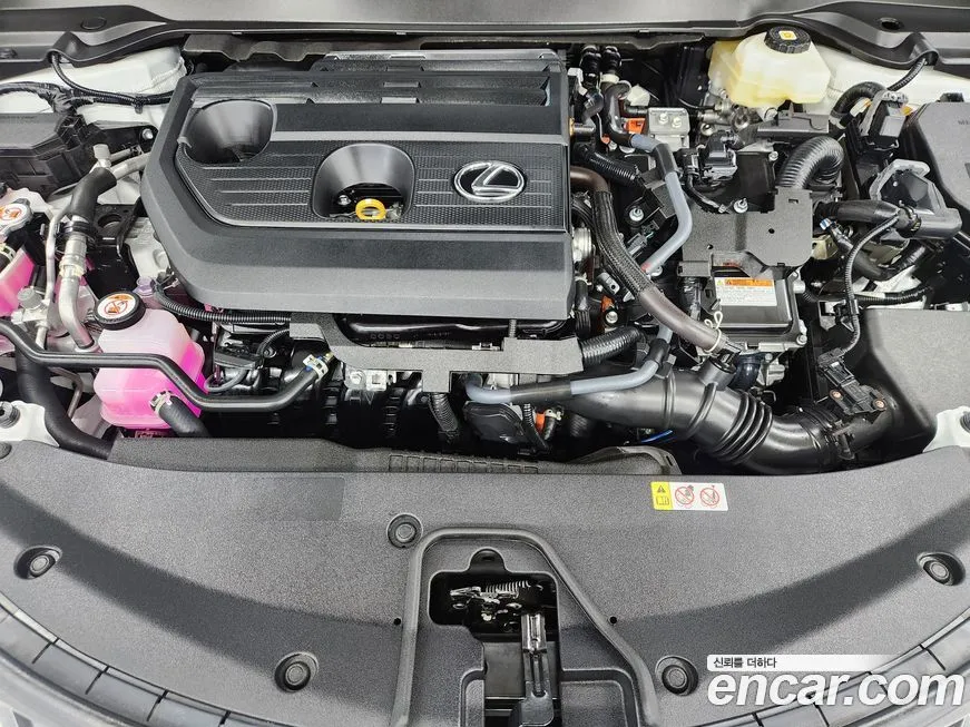 Lexus UX 2025 из KR, фото 6