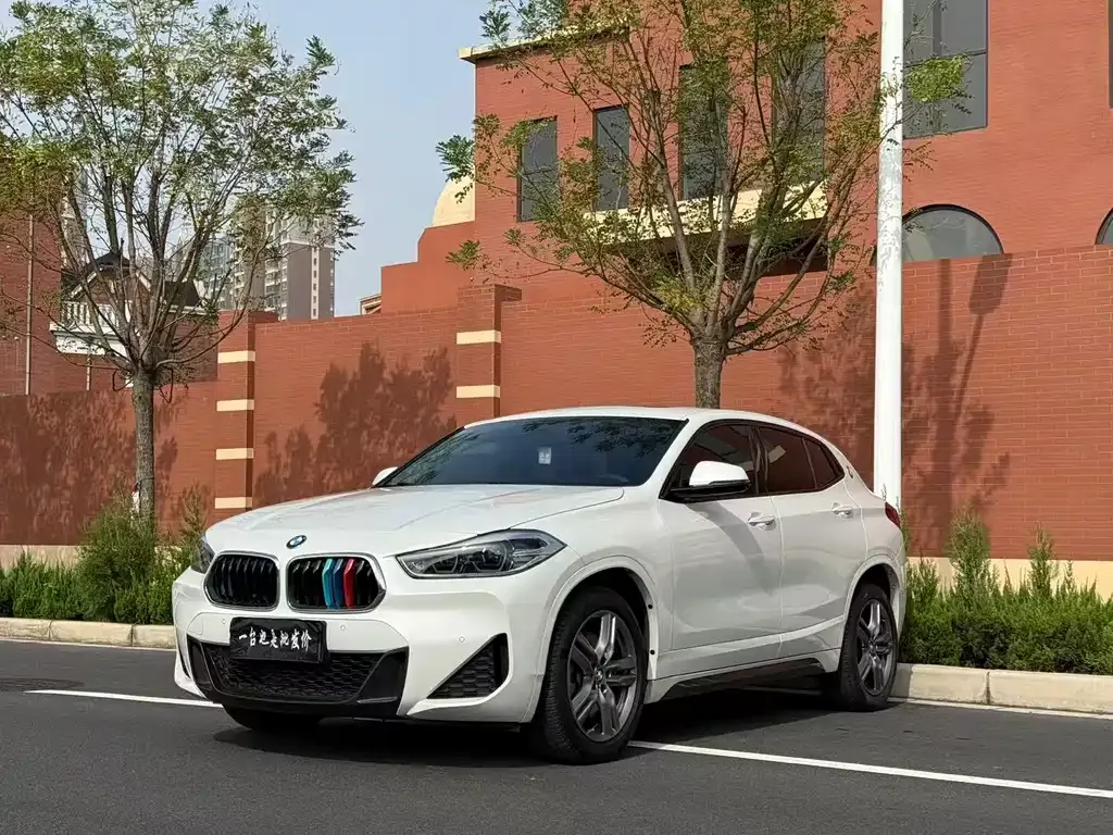 BMW X2 2022 из CN, фото 1