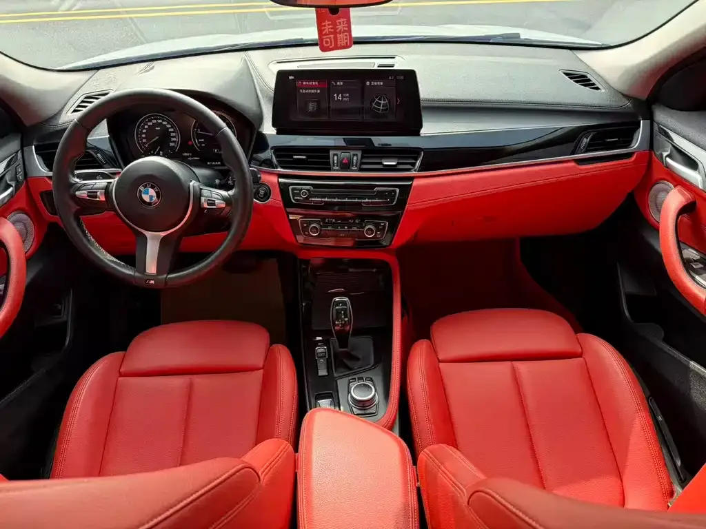 BMW X2 2022 из CN, фото 10