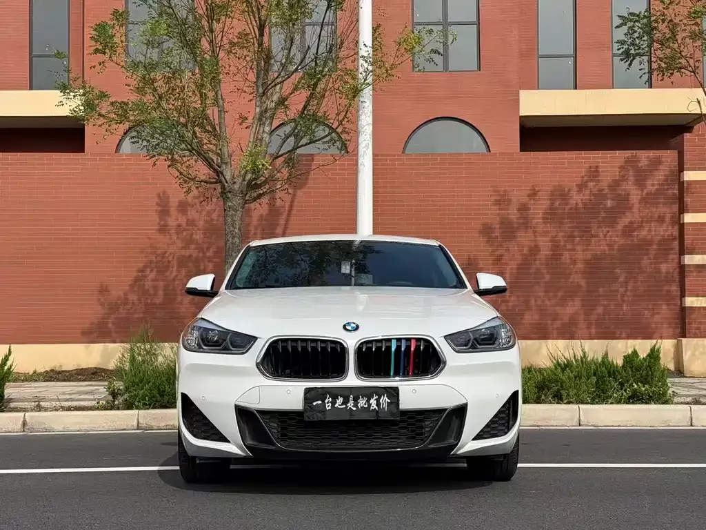 BMW X2 2022 из CN, фото 2