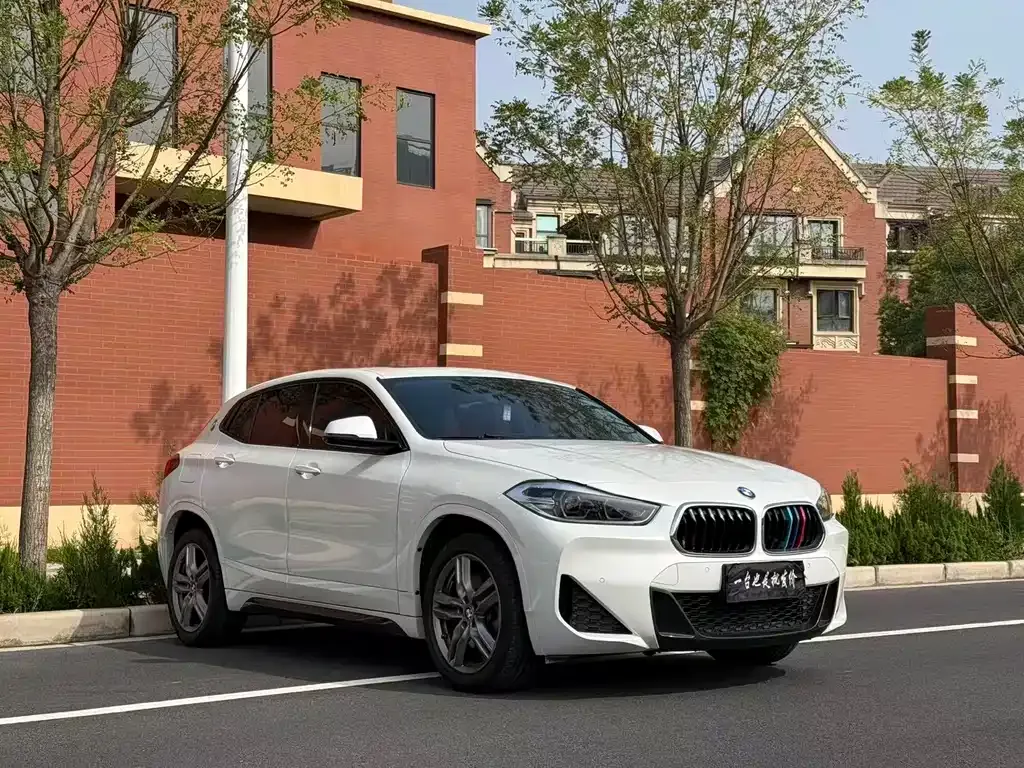 BMW X2 2022 из CN, фото 3