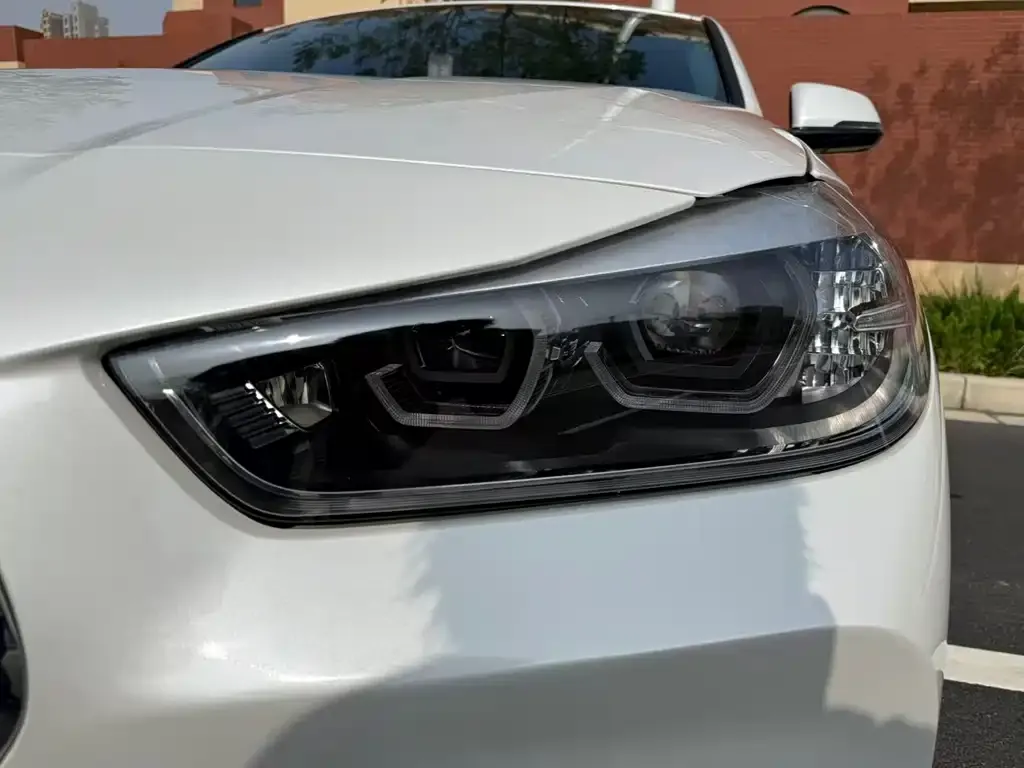 BMW X2 2022 из CN, фото 4