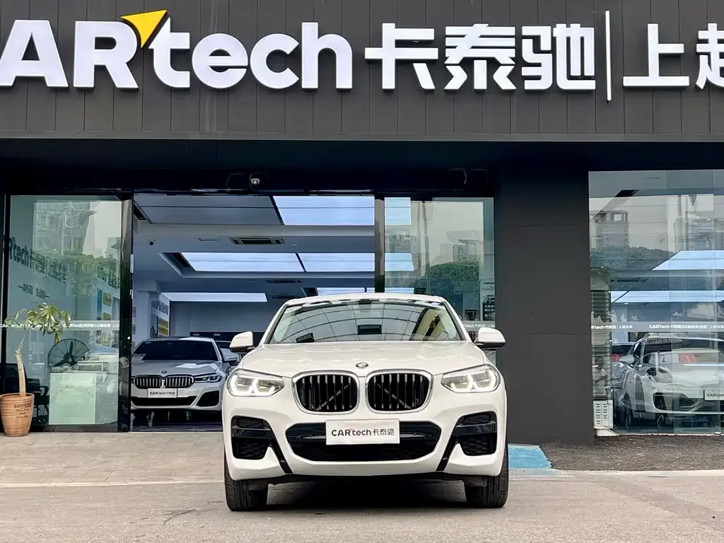 BMW X4 2021 из CN, фото 2