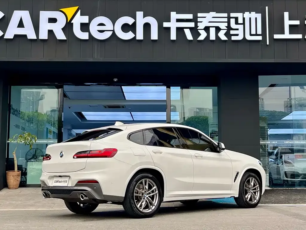 BMW X4 2021 из CN, фото 4