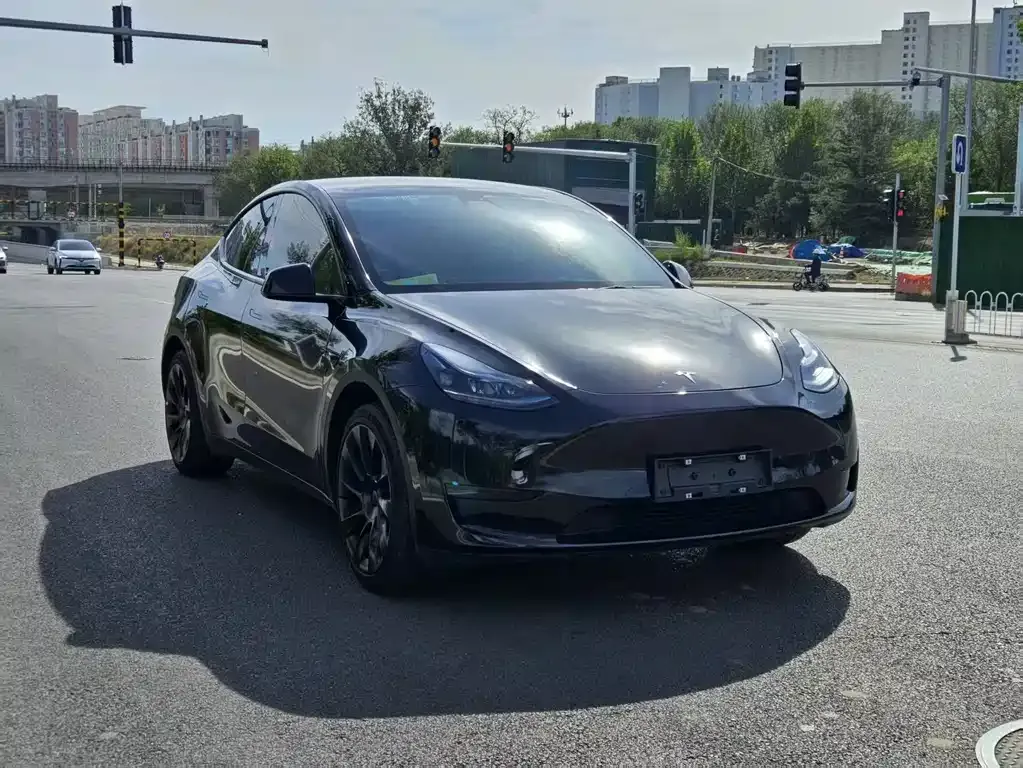 Tesla Model Y 2023 из CN, фото 2