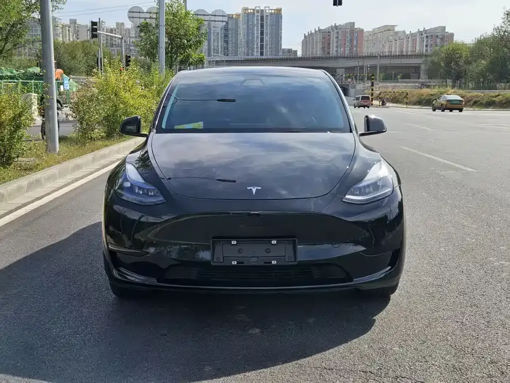Tesla Model Y 2023 из CN, фото 3