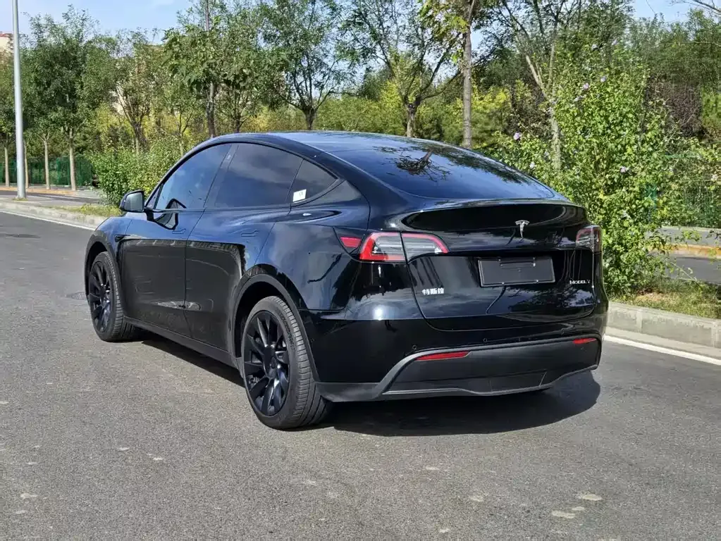 Tesla Model Y 2023 из CN, фото 5