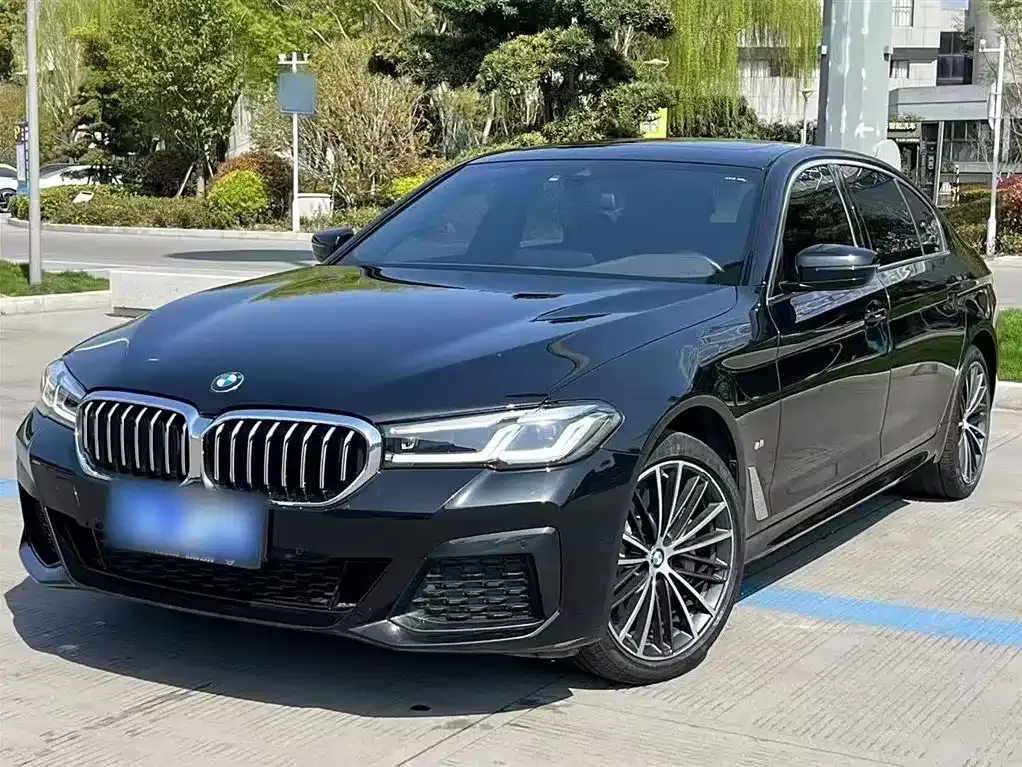BMW 5 Series 2022 из CN, фото 2