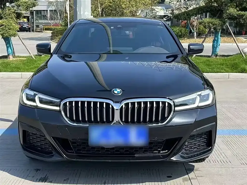 BMW 5 Series 2022 из CN, фото 3