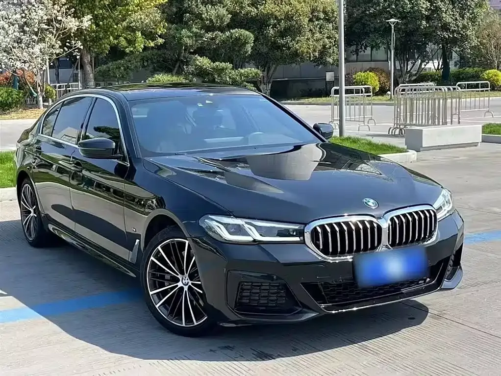 BMW 5 Series 2022 из CN, фото 4