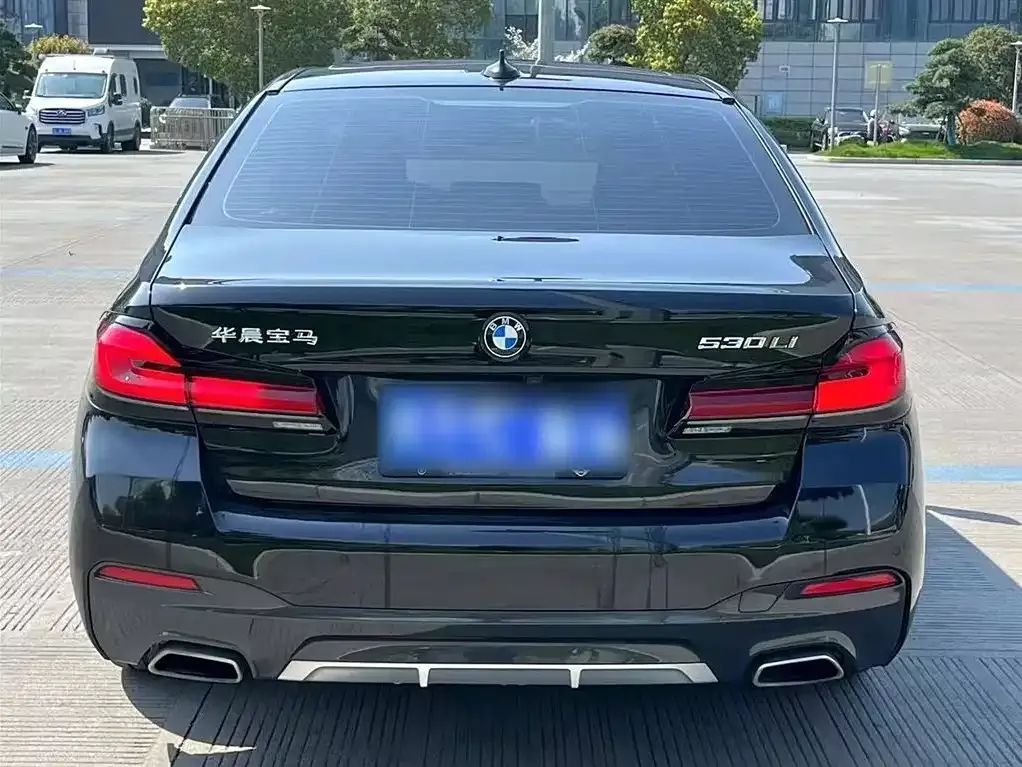 BMW 5 Series 2022 из CN, фото 6