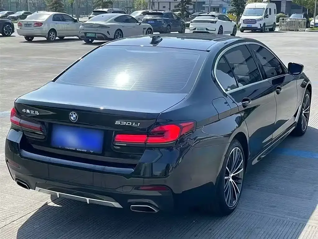 BMW 5 Series 2022 из CN, фото 7