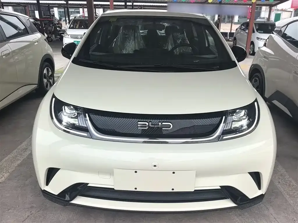 BYD Dolphin 2025 из CN, фото 3