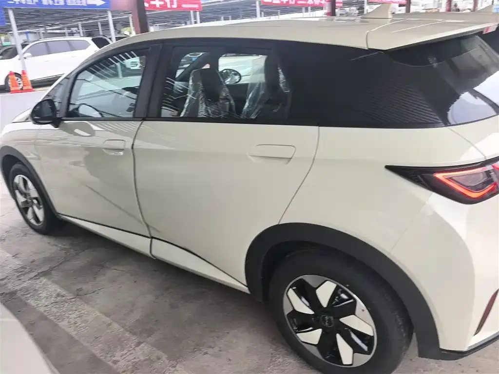 BYD Dolphin 2025 из CN, фото 5