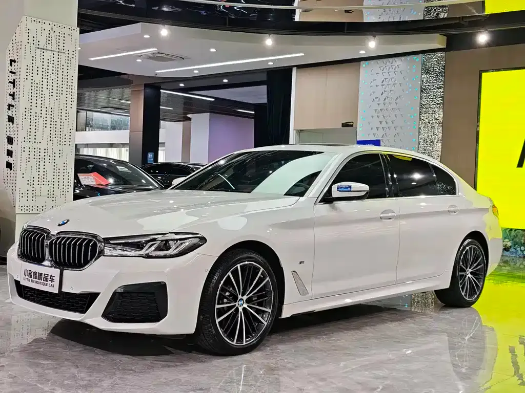 BMW 5 Series 2022 из CN, фото 1