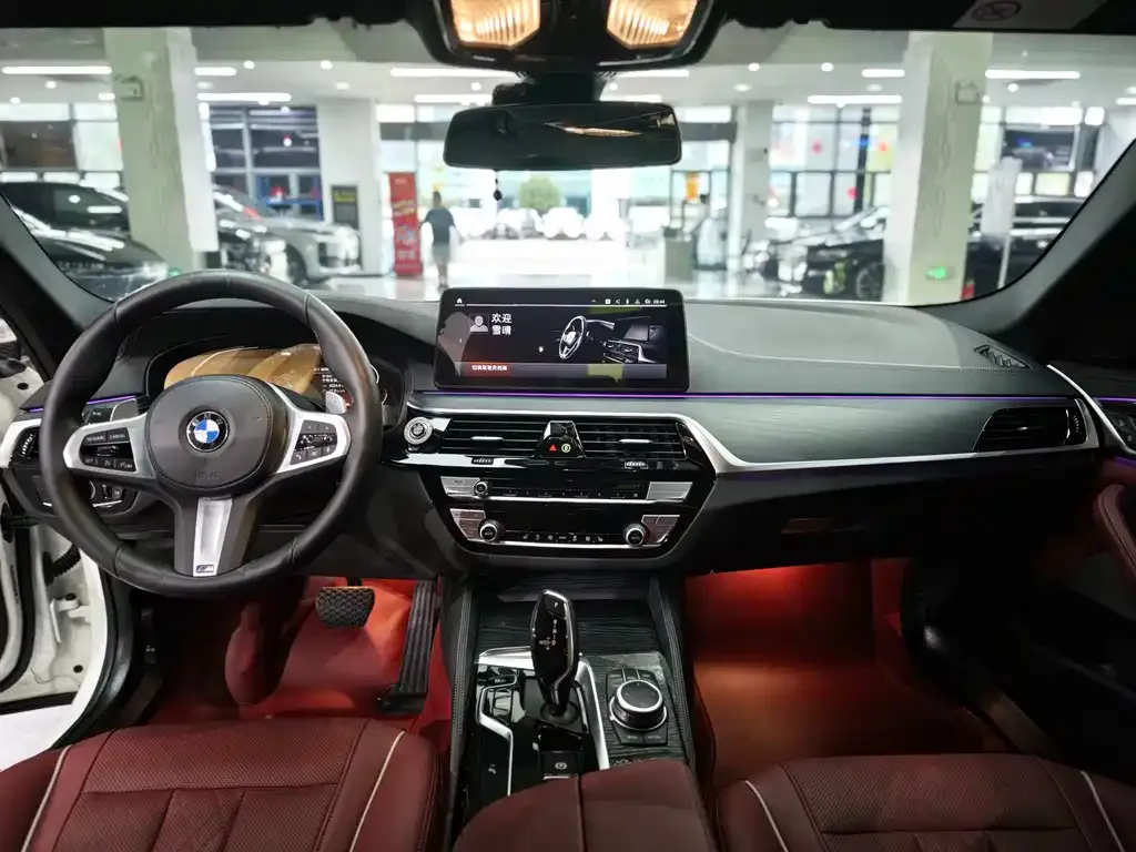 BMW 5 Series 2022 из CN, фото 10