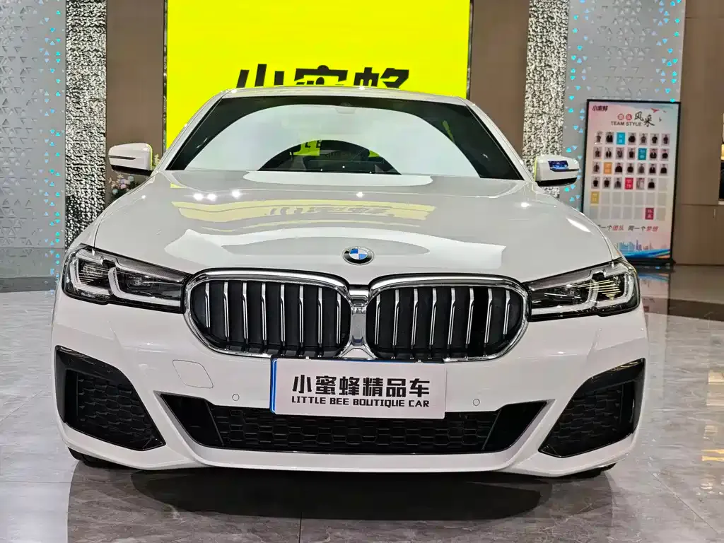 BMW 5 Series 2022 из CN, фото 2