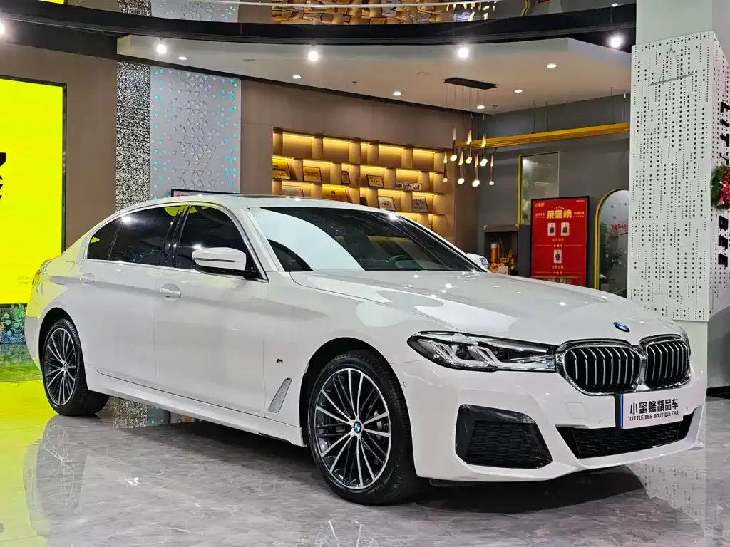 BMW 5 Series 2022 из CN, фото 3