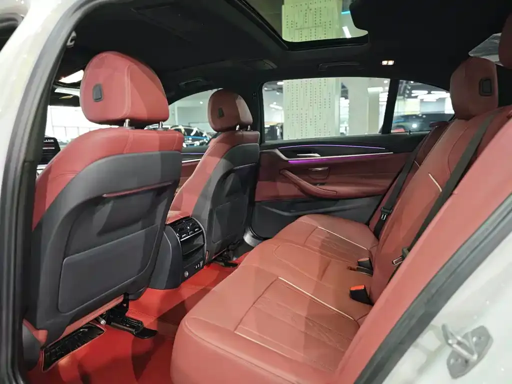 BMW 5 Series 2022 из CN, фото 7