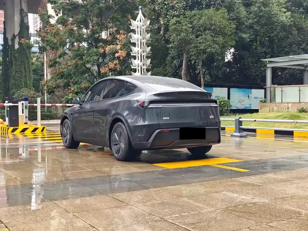 Tesla Model Y — фото 6