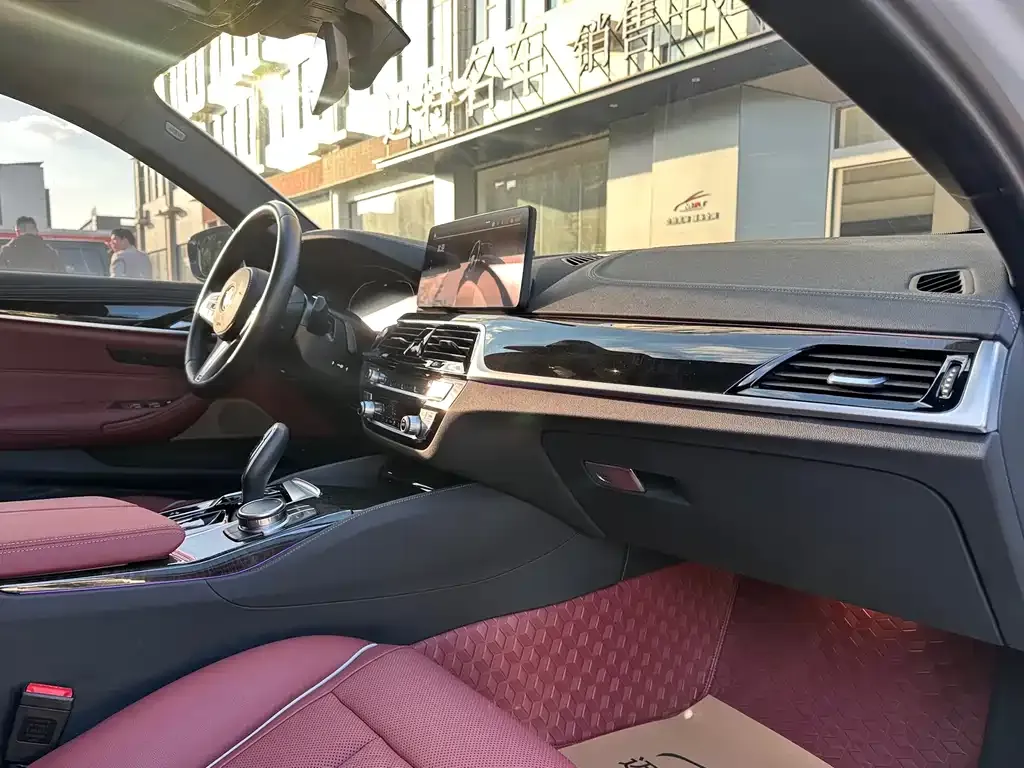 BMW 5 Series 2023 из CN, фото 10