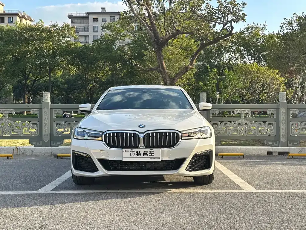 BMW 5 Series 2023 из CN, фото 2