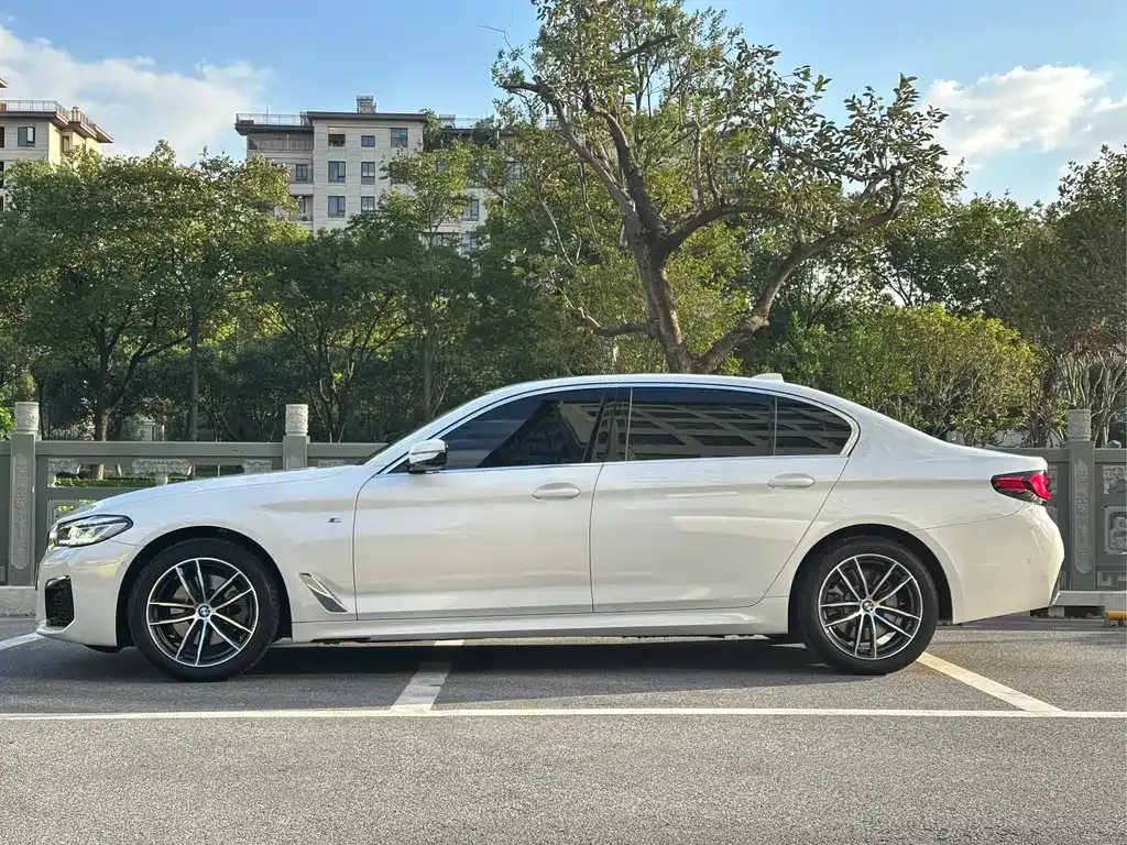 BMW 5 Series 2023 из CN, фото 3