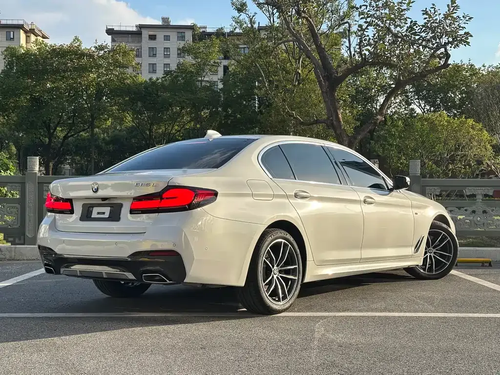 BMW 5 Series 2023 из CN, фото 4
