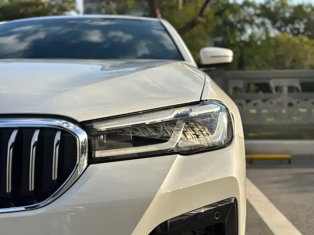 BMW 5 Series 2023 из CN, фото 6