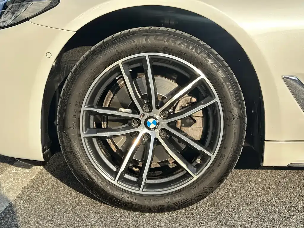 BMW 5 Series 2023 из CN, фото 7
