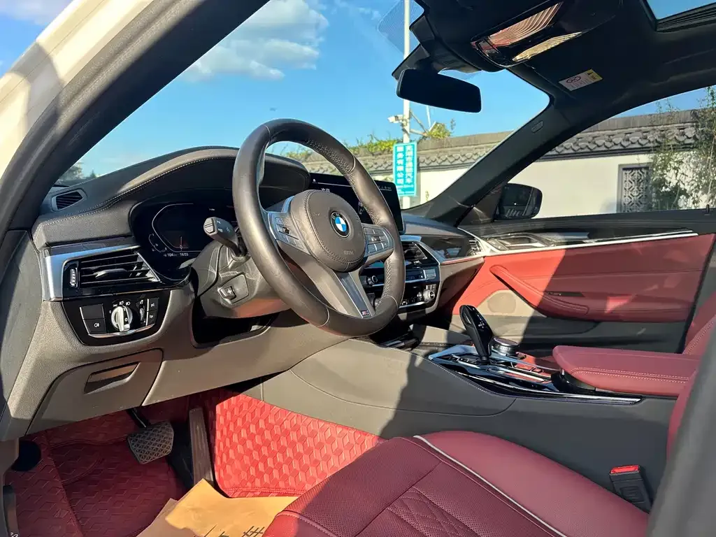 BMW 5 Series 2023 из CN, фото 8