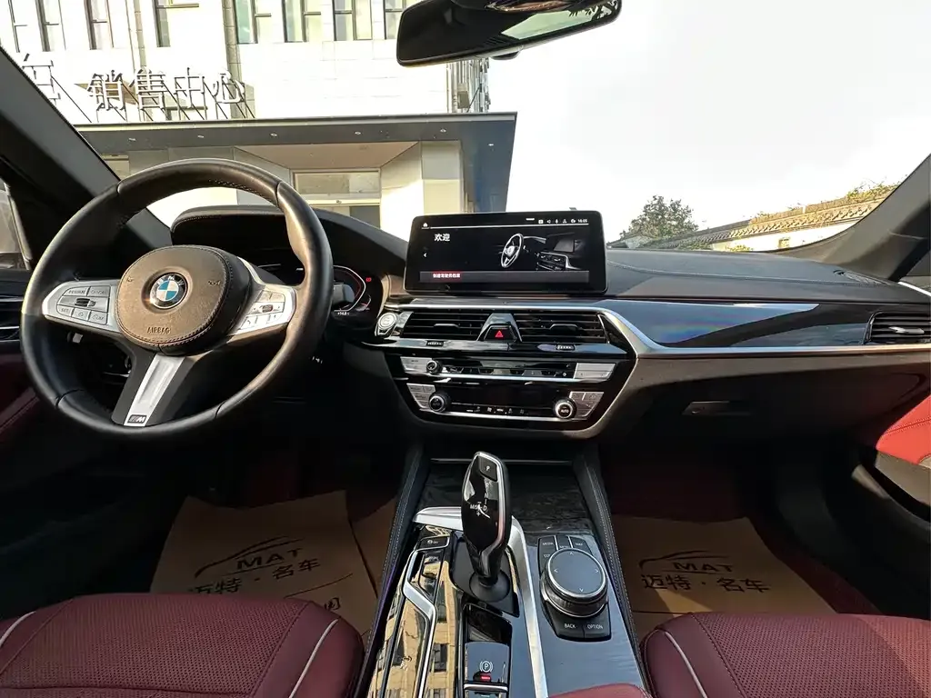 BMW 5 Series 2023 из CN, фото 9