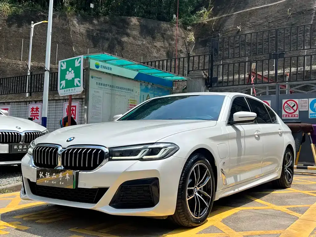 BMW 5 Series New Energy 2021 из CN, фото 1