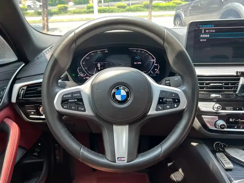 BMW 5 Series New Energy 2021 из CN, фото 8