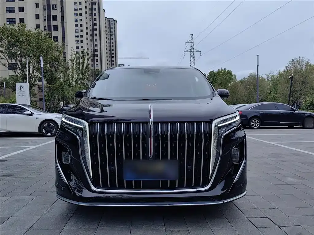 Hongqi HQ9 2023 из CN, фото 8