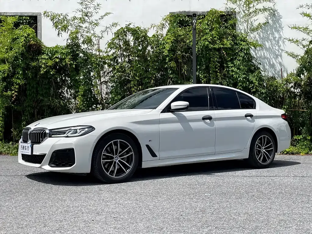 BMW 5 Series (Import) 2022 из CN, фото 1