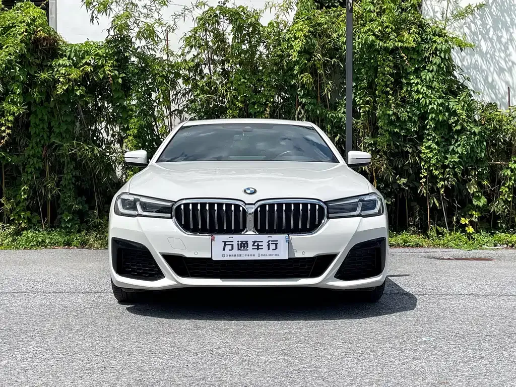 BMW 5 Series (Import) 2022 из CN, фото 2