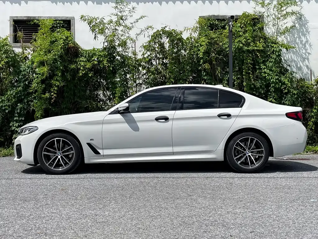 BMW 5 Series (Import) 2022 из CN, фото 3