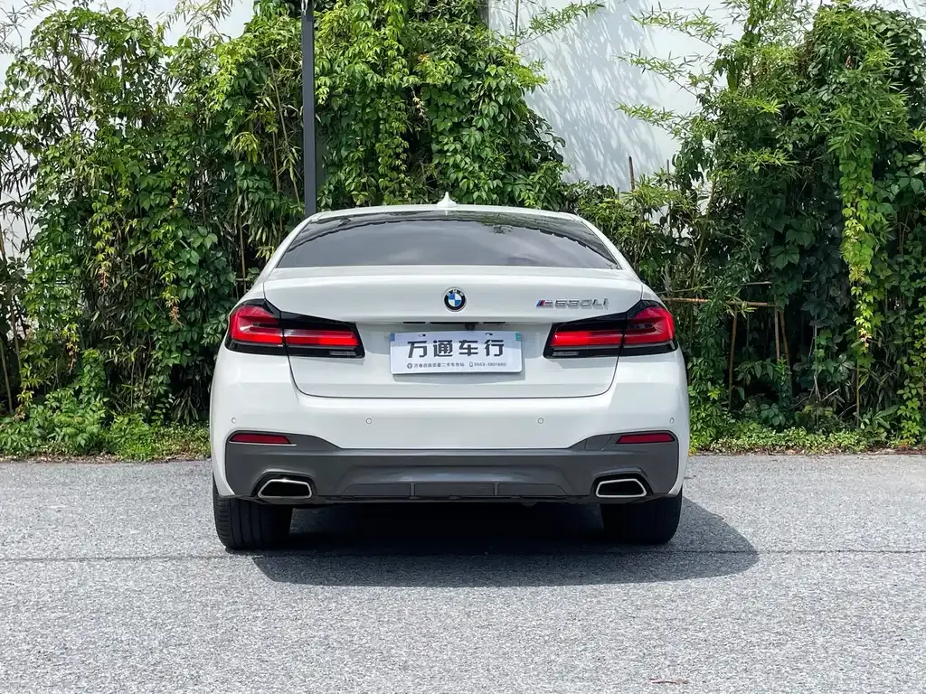 BMW 5 Series (Import) 2022 из CN, фото 5