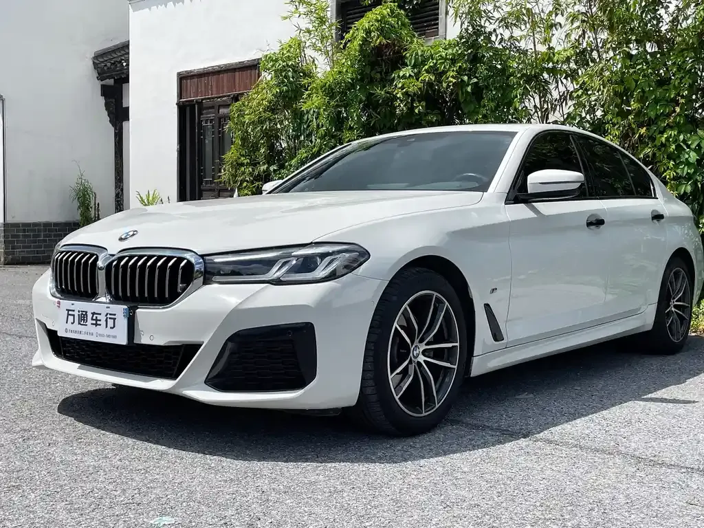 BMW 5 Series (Import) 2022 из CN, фото 6