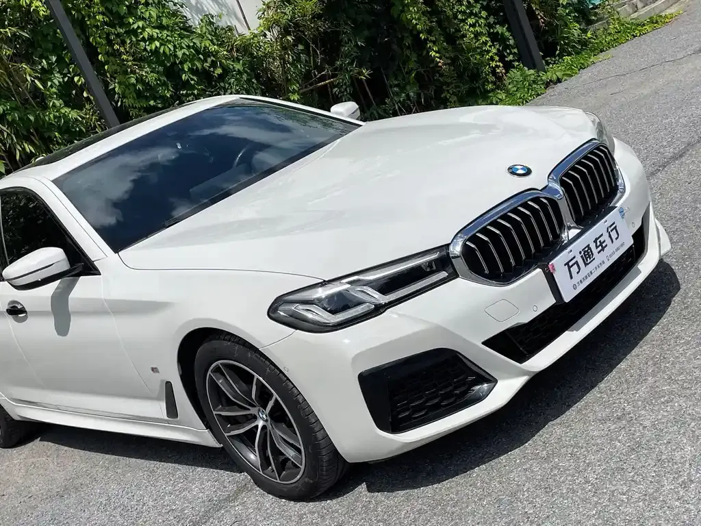 BMW 5 Series (Import) 2022 из CN, фото 7