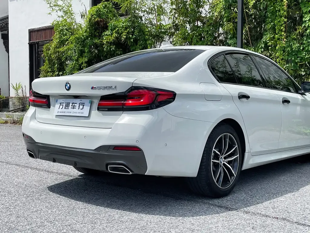 BMW 5 Series (Import) 2022 из CN, фото 9