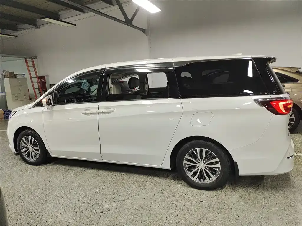 Buick GL8 2021 из CN, фото 5