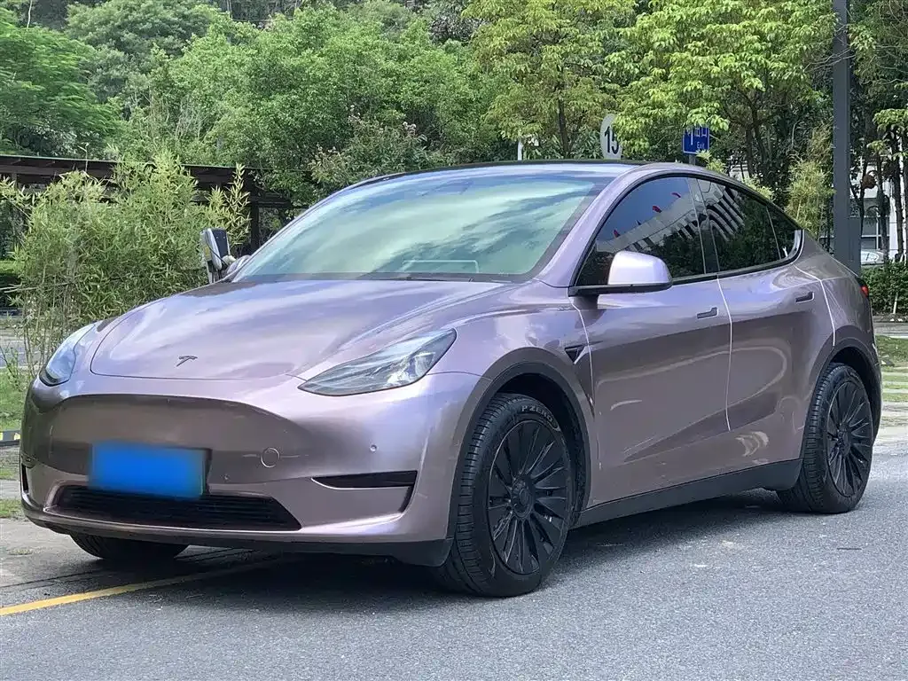 Tesla Model Y 2022 из CN, фото 1