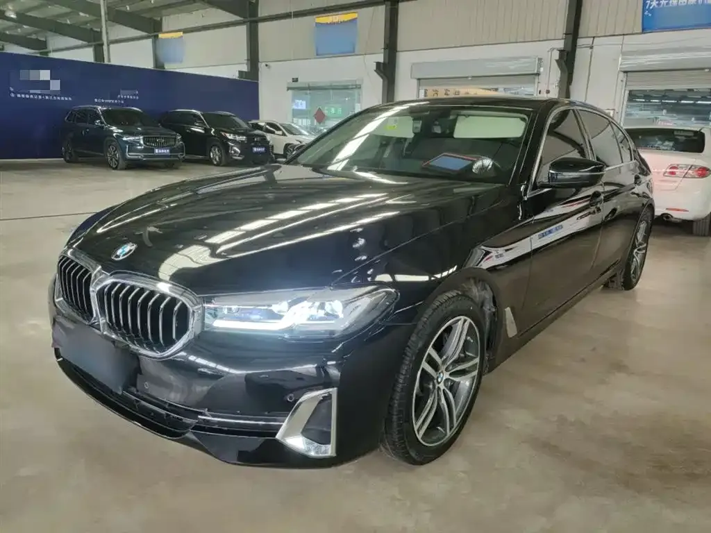 BMW 5 Series 2022 из CN, фото 2