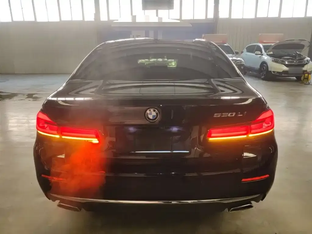 BMW 5 Series 2022 из CN, фото 6