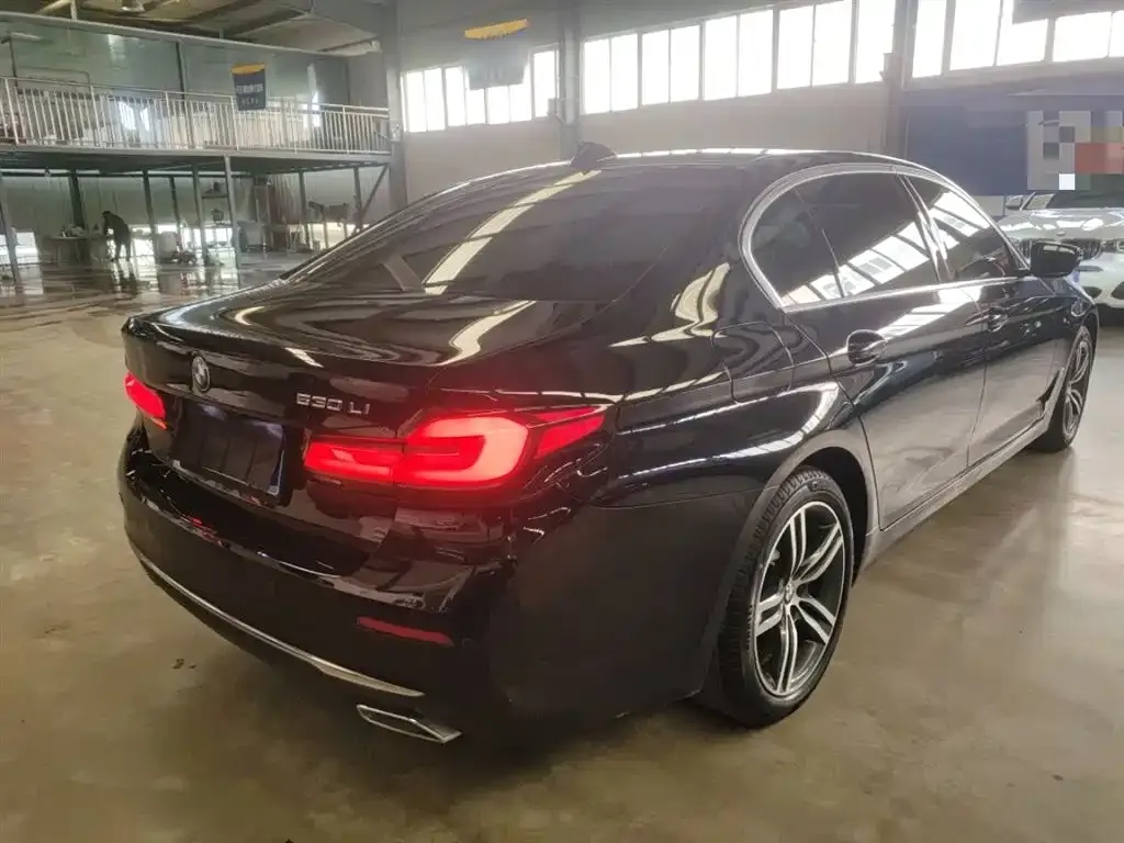 BMW 5 Series 2022 из CN, фото 7