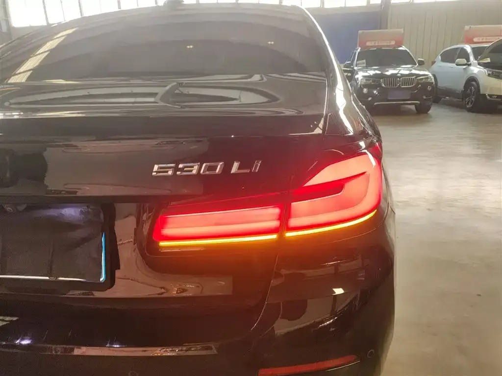 BMW 5 Series 2022 из CN, фото 8