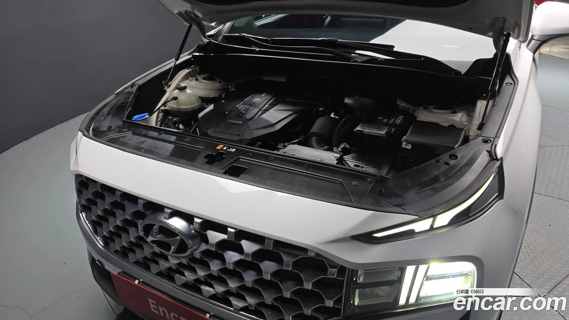 Hyundai Santafe 2021 из KR, фото 6