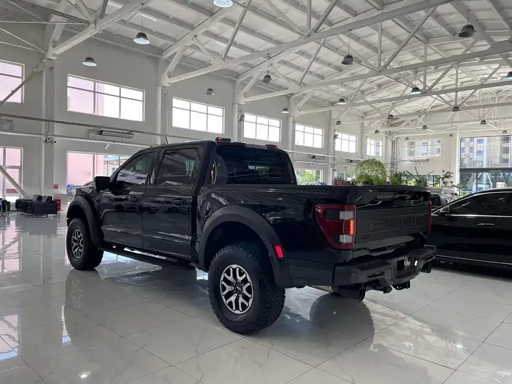 [object Object] F-150 Raptor 2023 из CN, фото 4